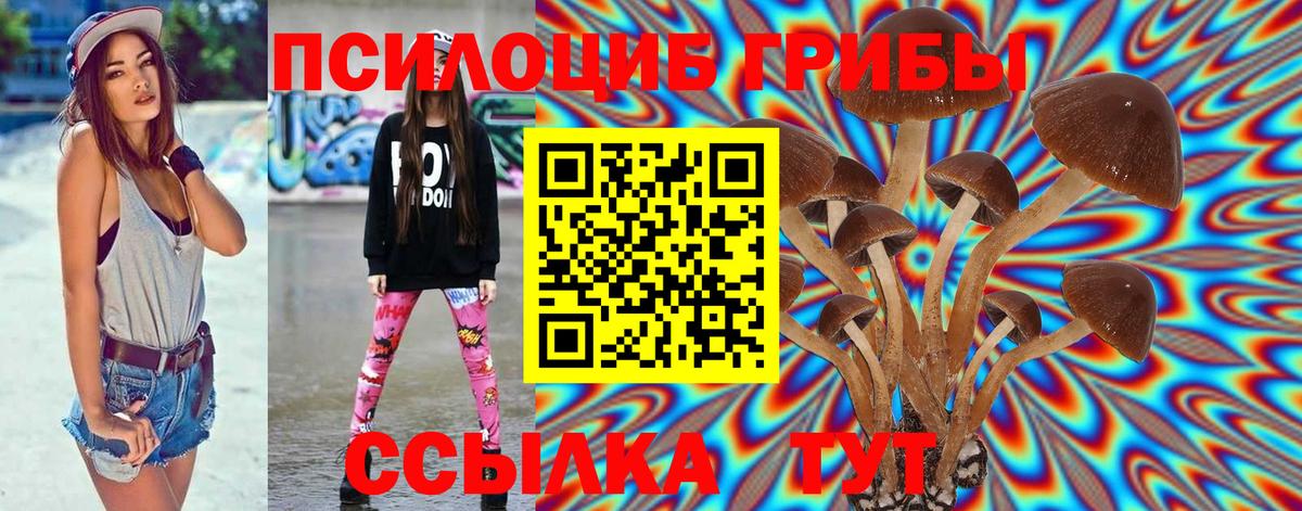 Псилоцибиновые грибы Magic Shrooms Ликино-Дулёво
